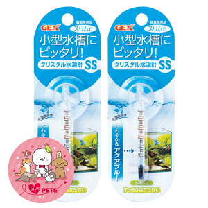 v WFbNX GEX NX^v ANAu[ SS×2Zbg Xŏ^Ƀsb^