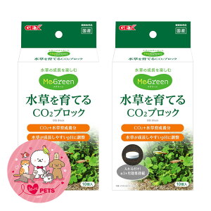 WFbNX GEX CO2ubN 10×2Zbg ꂢȐĂ Ϗ܋p琬pi