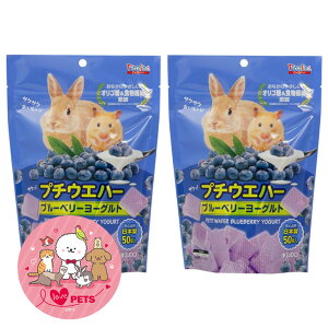 Xh[ v`EGn[ u[x[[Og 50×2Zbg EGn[X^Cv̂  nX^[  P-3222