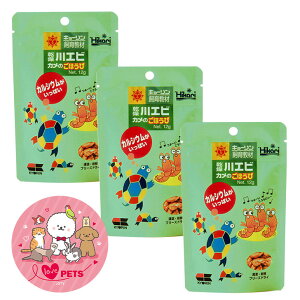 L[ qJ Gr Ĵق 12g×3Zbg 㐫 狳 ֗ȃ`bNt T̉a 03-52KY