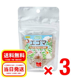 3Zbg ybgt[h GS} 30g Rh錾 h{⏕H   nX^[ X GT a t[h KP-24