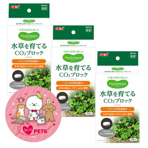 WFbNX GEX CO2ubN 10×3Zbg ꂢȐĂ Ϗ܋p琬pi