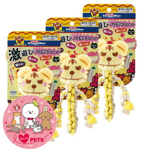 hM[} n[hM[ V n~KLRbg Ƃ SS ×3 ^E^p f^ߋ