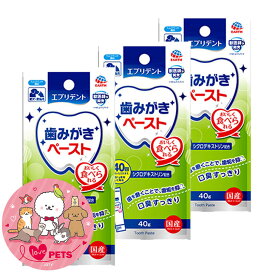 アース・ペット エブリデント 歯みがきペースト ミルクミント風味 40g×3個 愛犬・愛猫用 栄養補完食