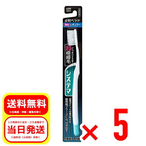 5Zbg CI LION VXe}nuV 4 wbh M[ ӂ A21