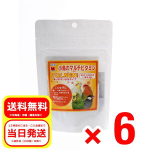 6Zbg ybgt[h gl TOLNEN 24{ ̃Tvg g₷^Cv GT a t[h ⏕H SS-01