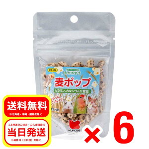 6個セット 黒瀬ペットフード 麦ポップ 4g 自然派宣言 栄養補助食品 おやつ 中型インコ 小鳥 ハムスター リス 小動物 KP-02