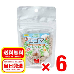 6Zbg ybgt[h GS} 30g Rh錾 h{⏕H   nX^[ X GT a t[h KP-24