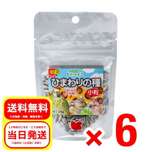 6Zbg ybgt[h Ђ܂̎  25g Rh錾 h{⏕H ^CR  nX^[ X  GT a t[h KP-38