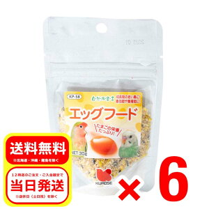 6Zbg ybgt[h GbOt[h 30g Rh錾 ̕⏕H GT a t[h KP-58