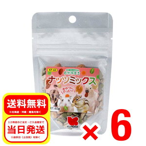 6Zbg ybgt[h ibc~bNX 40g Rh錾  ^CR nX^[ X tNK  KP-60