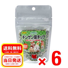 6個セット 黒瀬ペットフード チンゲン菜チップ 20g 自然派宣言 栄養補助食 小鳥 小動物 エサ 餌 フード 無添加 無着色 KP-63