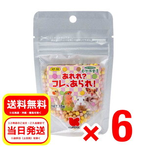 6Zbg ybgt[h H RAI 15g Rh錾 h{⏕H ^CR nX^[ tNK  GT a t[h KP-98