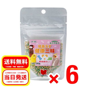 6Zbg ybgt[h NO 30g Rh錾 ̉h{⏕H GT a t[h KP-100