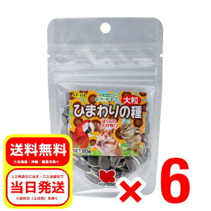 6Zbg ybgt[h Ђ܂̎ 嗱 20g Rh錾 h{⏕Hi ^CR  nX^[ X  GT a t[h KP-108