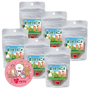 ybgt[h ttHjI 30g×6Zbg tHjIpfB CR  ̉a ̉a JiA ZLZCCR tB`  Rh錾 KP-120