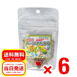 6Zbg ybgt[h ̃n[û 15g Rh錾 ̃GT a KP-122