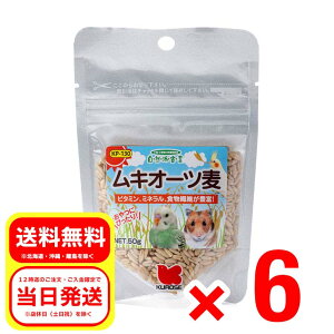 6Zbg ybgt[h LI[c 50g Rh錾 h{⏕H CR nX^[ X  GT a t[h  KP-130