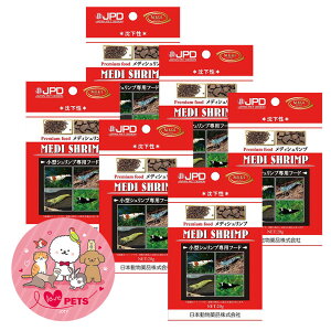 {i j`hE v~At[h fBVv  20g×6Zbg ^Vvpt[h a GT