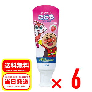 6Zbg CI LION ǂn~KL Ap} C`S 40g 
