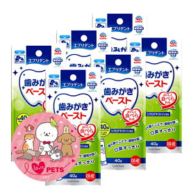 アース・ペット エブリデント 歯みがきペースト ミルクミント風味 40g×6個 愛犬・愛猫用 栄養補完食