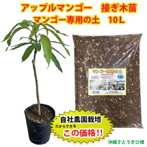 yД_ڂؕczAbv}S[ciA[EBj}S[p̓yZbg