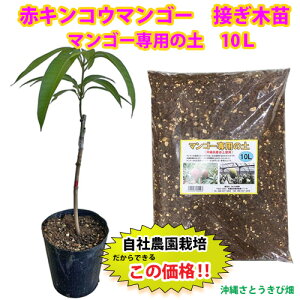 yД_ڂؕczԃLRE}S[ciʕ}S[cj}S[p̓yZbg