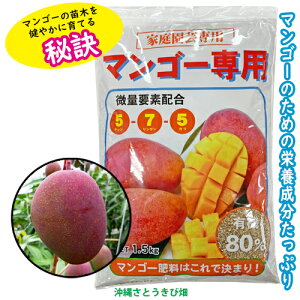 �}���S�[�엿1.5kg�@|�@���� �ʕ� �ʎ� �t���[�c ���ƍ؉� �ƒ�؉� mango
