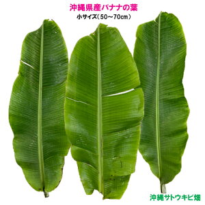 �y���������z���ꌧ�Y�o�i�i�̗t�@���T�C�Y(3��)