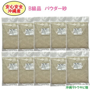 yzSS@Y@̍@mBinpE_[@1kg×10pbN(10kg)