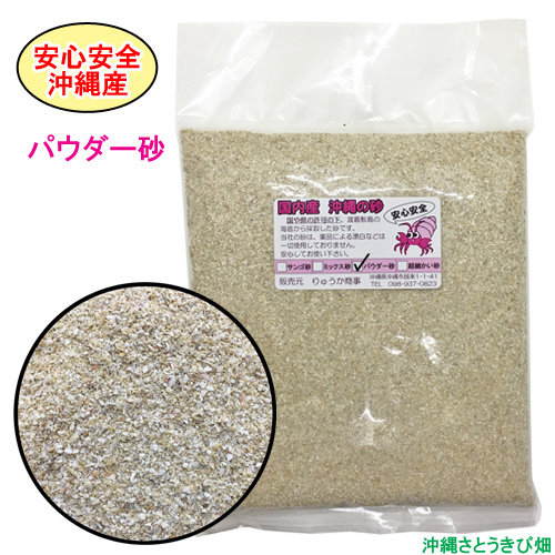 安心安全 国内産 沖縄の砂 品質が完璧 SALE 62%OFF 1kg パウダー砂