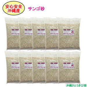 yzSS@Y@̍@TS@1kg×10pbN(10kg)