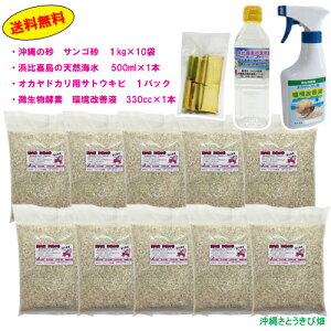 IJhJZbg@TS10kgEC500mlETgELrEPt330cc