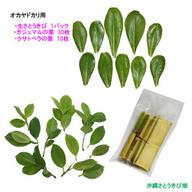 【送料無料】オカヤドカリ用　エサ(サトウキビ、ガジュマルの葉30枚、クサトベラの葉10枚)