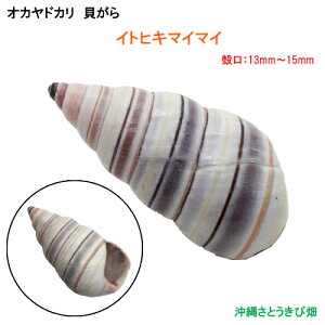 CgqL}C}C̊Lk(k:13mm-15mm)