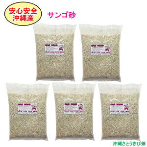 yzSS@Y@̍@TS@1kg×5pbN(5kg)