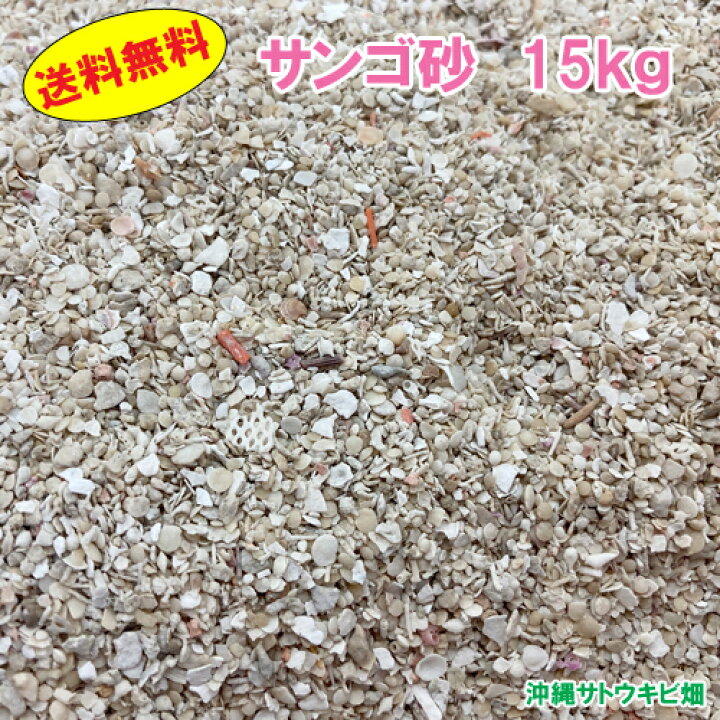 大量 ていたし 】セール❗️ ✴︎琉球✴︎海のカケラ ｛ 枝サンゴ ｝