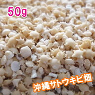 沖縄　石垣島　星の砂(星砂)　50g