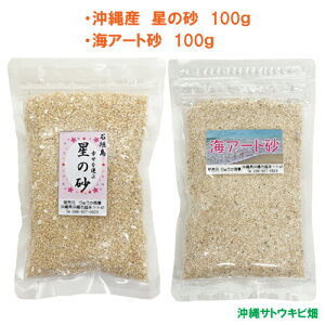 Y ̍ 100@@@CA[g@100g