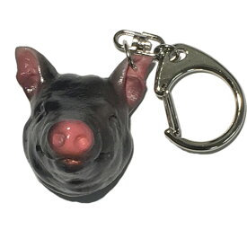メール便（ネコポス）発送商品 おもしろキーホルダー　アグー美ら豚(ちゅらぶた)