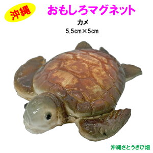 おもしろマグネット カメ(5.5cm)