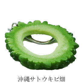 メール便（ネコポス）発送商品 おもしろキーホルダー　ゴーヤーリング　大サイズ