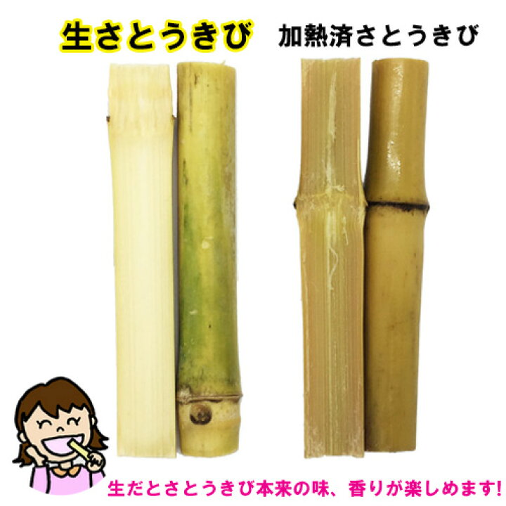 楽天市場】【送料無料】沖縄県産 生さとうきび(サトウキビ) 食用 400g 