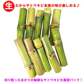 楽天市場 サトウキビ の 栽培の通販
