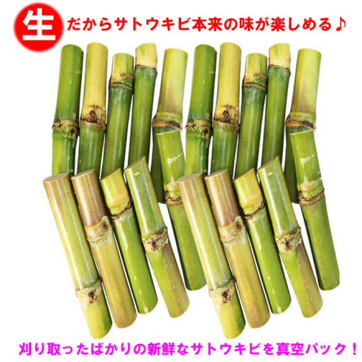 オープニング 大放出セール 送料無料 沖縄県産 生さとうきび サトウキビ 食用 400gパック 5 Dprd Jatimprov Go Id オープニング 大放出セール 送料無料 沖縄県産 生さとうきび サトウキビ 食用 400gパック 5 Dprd Jatimprov Go Id