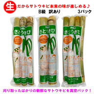 【送料無料】B級訳あり 沖縄県産 生さとうきび(サトウキビ) 食用 約25cm 2〜4本入り×3　　　　　|沖縄土…