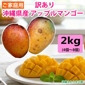 �y���������z���ꌧ�Y �A�b�v���}���S�[ �󂠂�@2kg�Z�b�g(4�ʁ`8��) |���� �ʕ� �ʎ� �t���[�c �썑 �f�U�[�g ����� �Â� �Ƃ낯��H�� �Z���ȊÂ� �T�}�[ ���y�Y �����n �O���� ���n ����