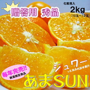 y\񏤕izSUN (܂)p@Gi@ϔ@2kgl߁@̍܂t