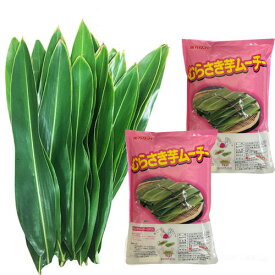 【送料無料】月桃の葉(洗浄済)20枚＆むらさき芋ムーチー粉(餅粉)2袋