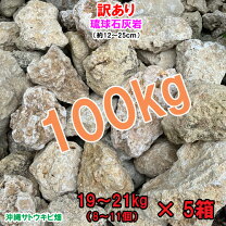 楽天市場】訳あり（石材｜木材・建築資材・設備）：花・ガーデン・DIY 